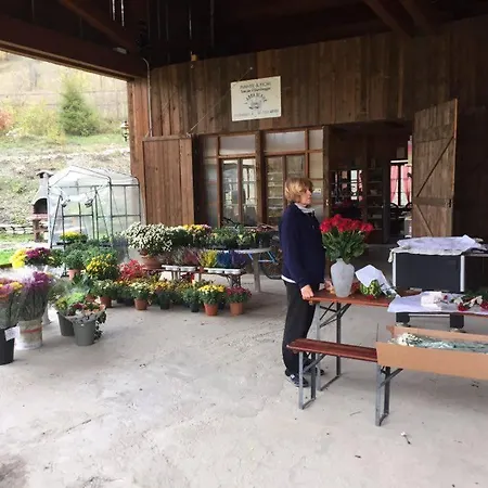 L'arca Di Noè - Agricamp *